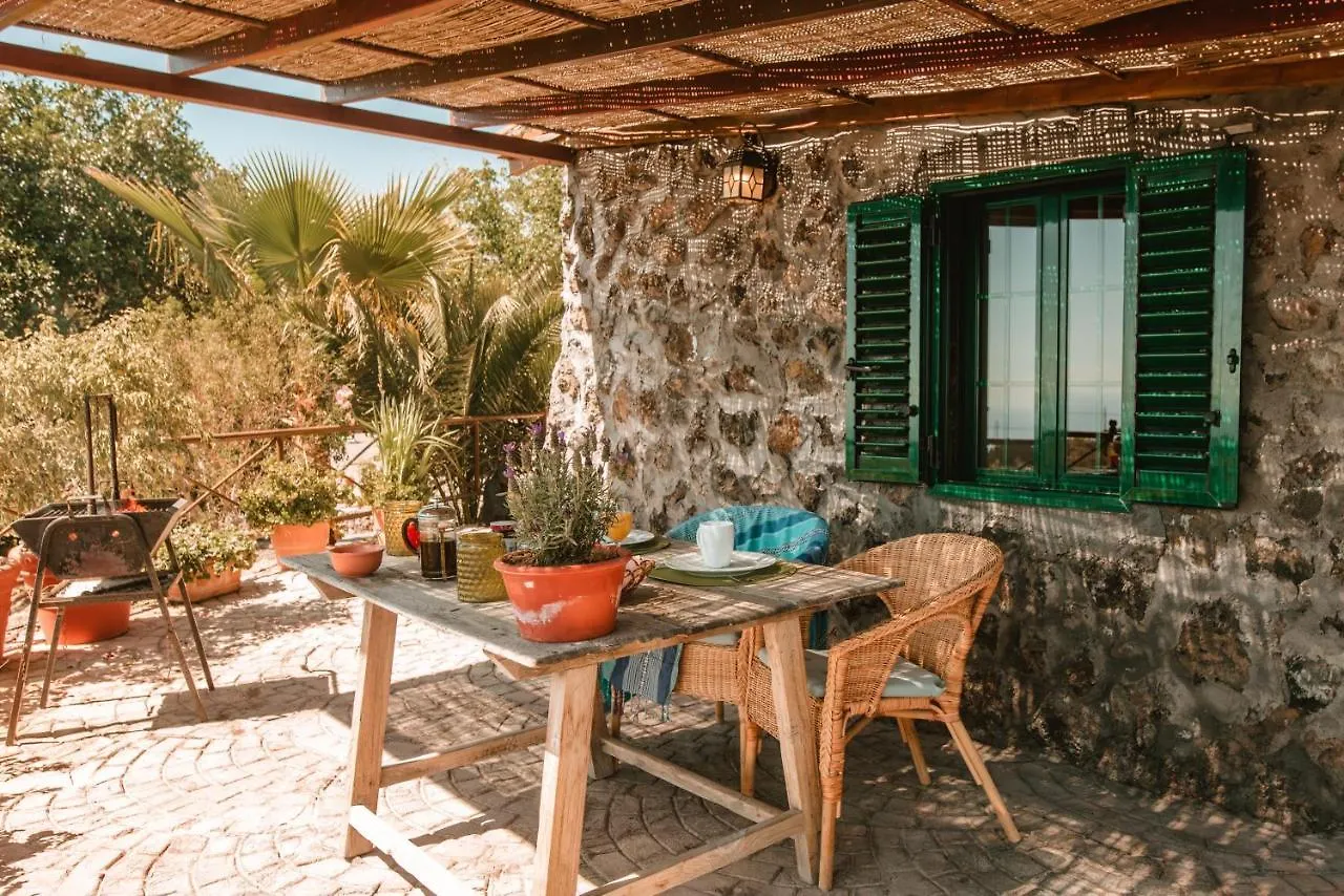 Finca Los Llanitos Guia de Isora  Holiday home Guia de Isora (Tenerife)