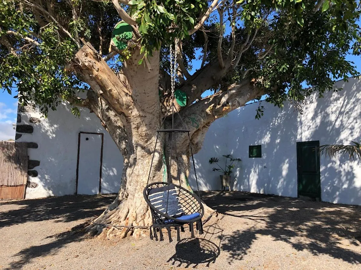 Holiday home Finca Los Llanitos Guia de Isora  Spain